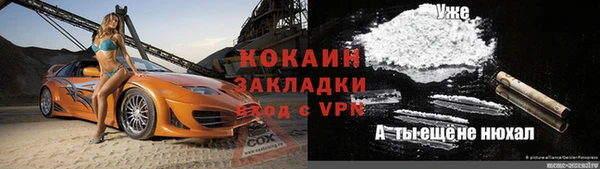 стаф Вяземский