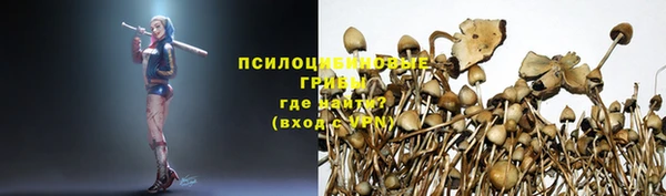 стафф Вязники