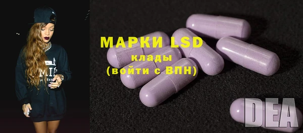 стаф Вяземский