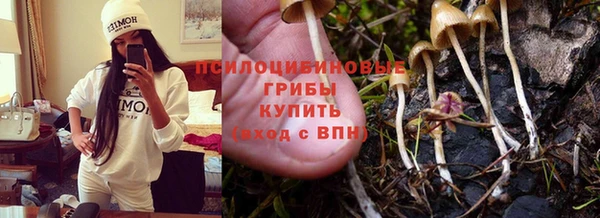 MDMA Premium VHQ Тайга