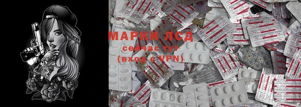 стаф Вяземский