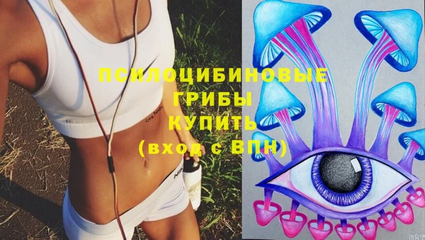 стаф Вяземский