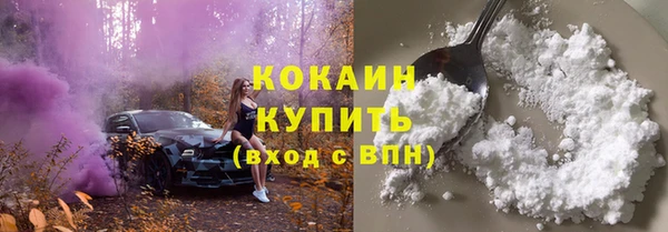 крисы Тавда