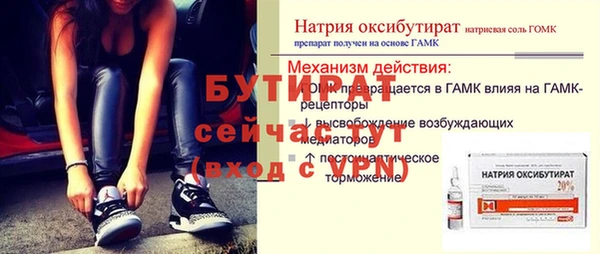 индика Струнино
