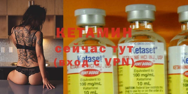 стаф Вяземский