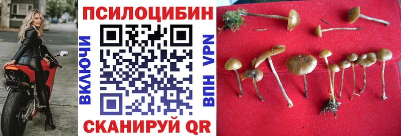 ссылка на мегу зеркало  Усолье  Галлюциногенные грибы MAGIC MUSHROOMS 
